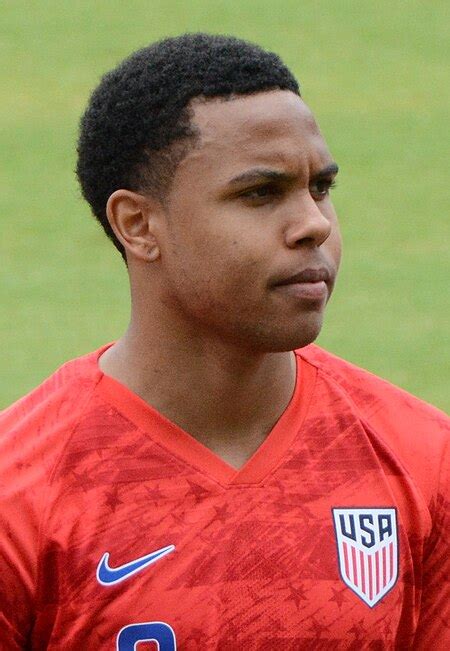 weston mckennie wikipedia